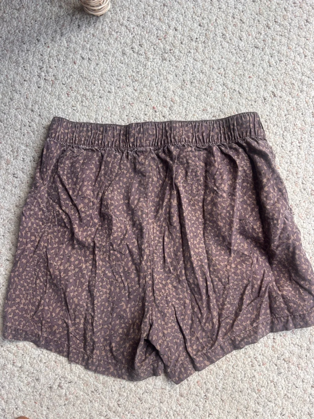 Social Standard by Sanctuary Shorts